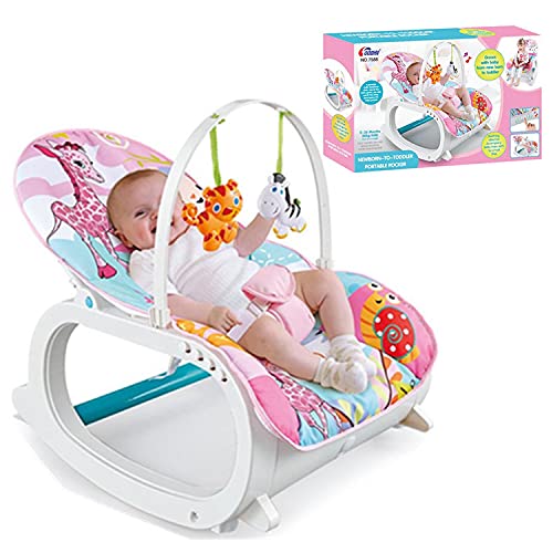 Newborn to toddler portable rocker