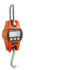 Commercial hanging scales