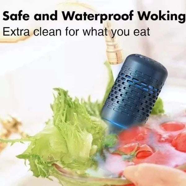 Portable food cleaner/purifier