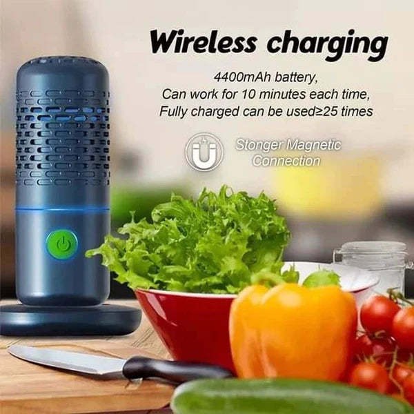 Portable food cleaner/purifier