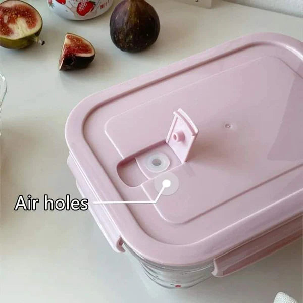 2 Grid Microwave Safe Glass Lunch Box