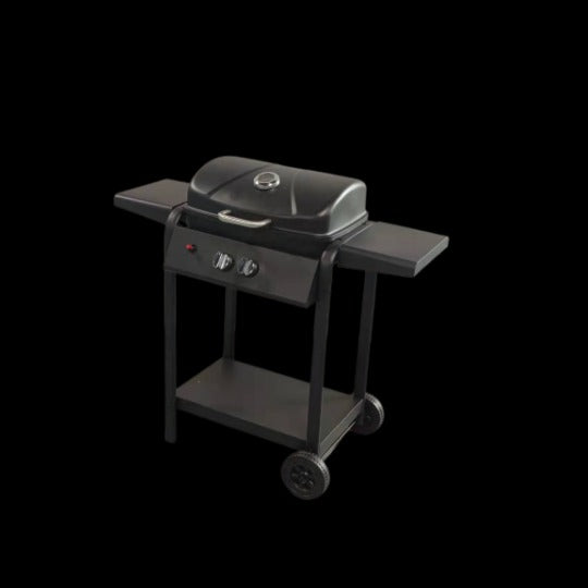 Gas BBQ- 2 Burner