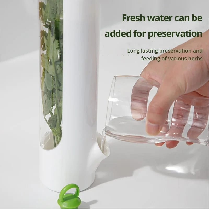 Herb and Vegetable Fresh-Keeping Cup kitchen Storage