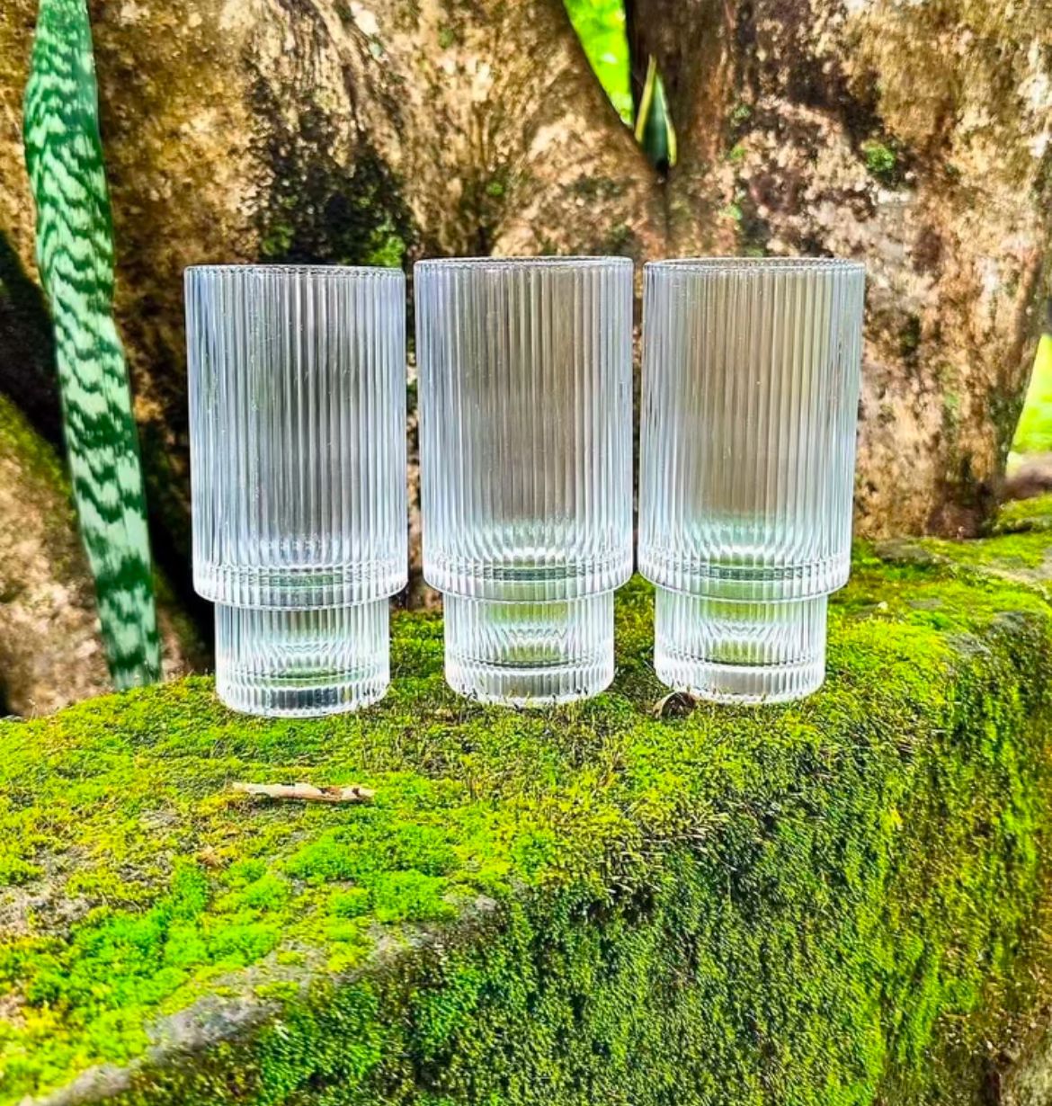 Fancy Aesthetic Highball crystal ribbed glasses