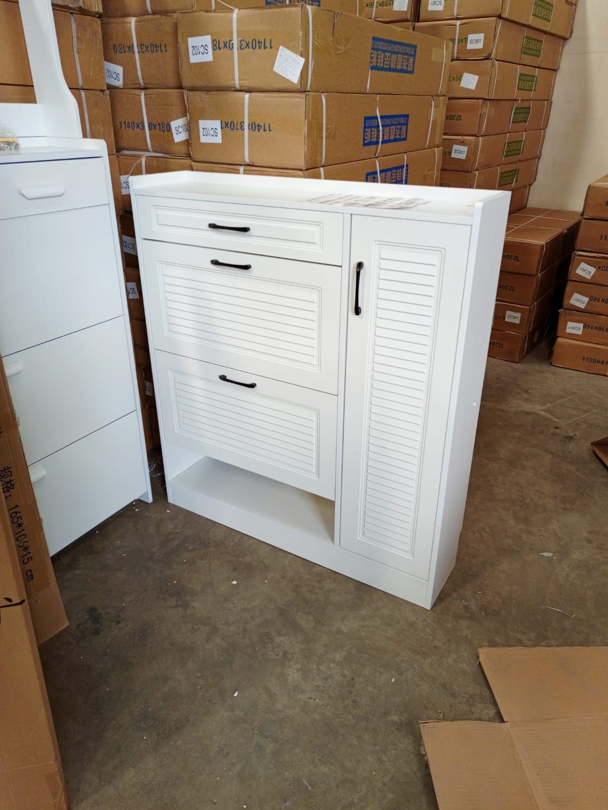 SLIM MODERN SHOE CABINET