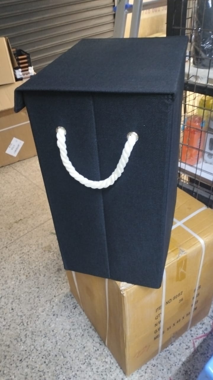 Laundry organizer/basket with lid