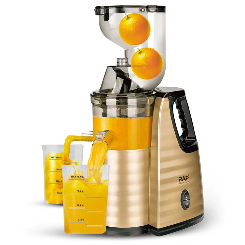 RAF Slow Masticating Fruit Juicer- Juice Extractor