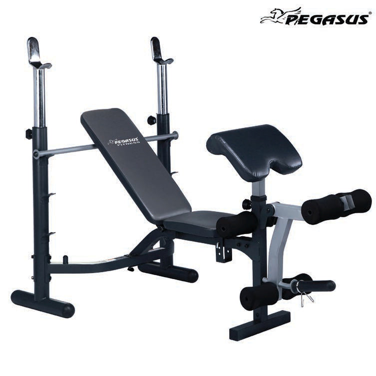 JX-764 commercial weights bench with barbell stands, bicep pad and leg extension attachment