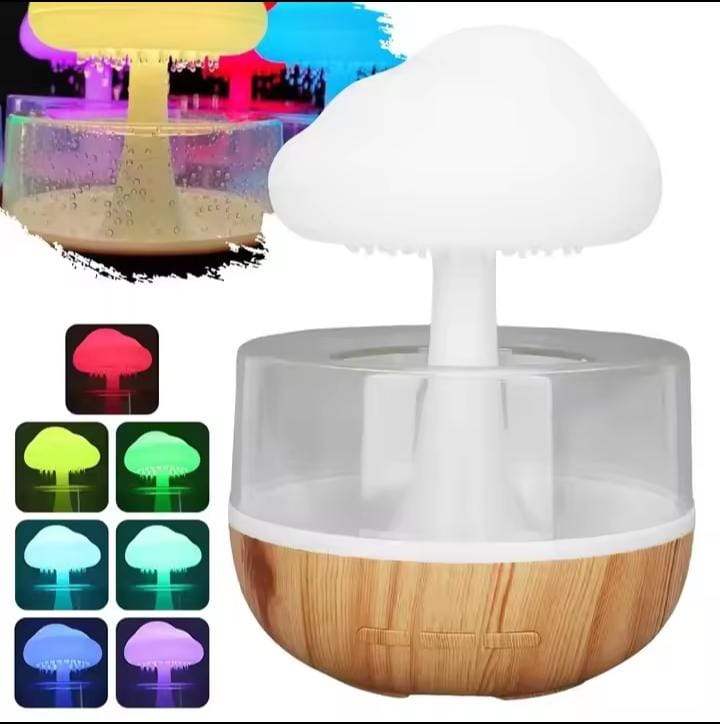 Rain Cloud humidifier