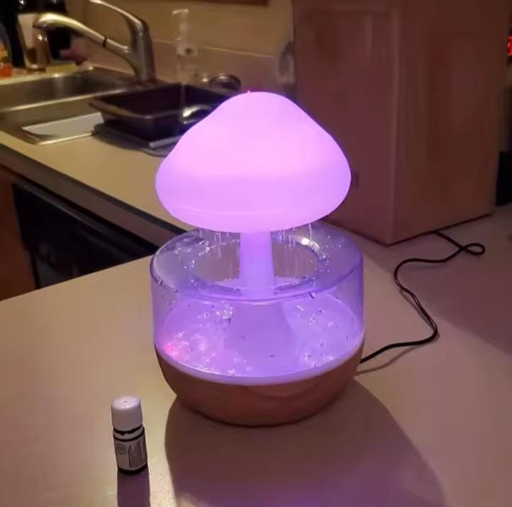 Rain Cloud humidifier