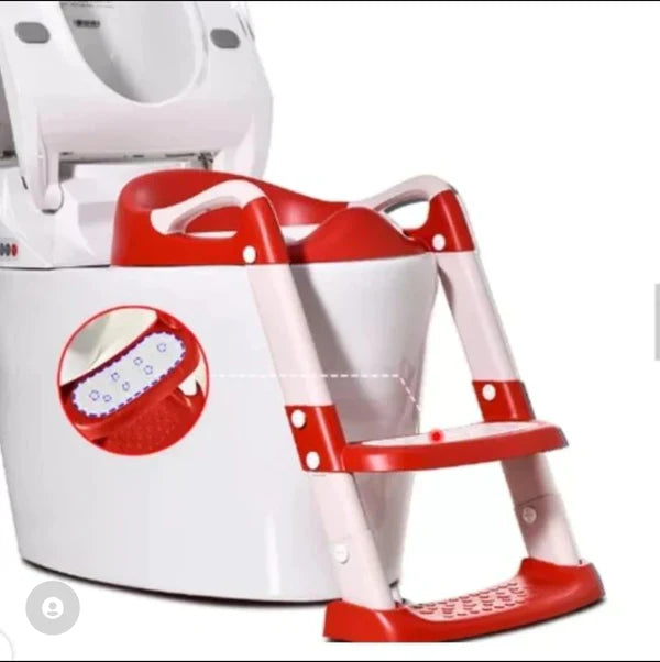 Toilet training ladder