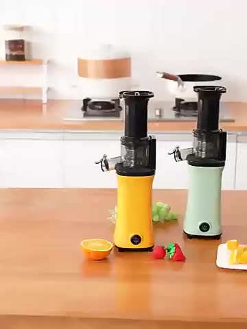 Slow Juicer Blender