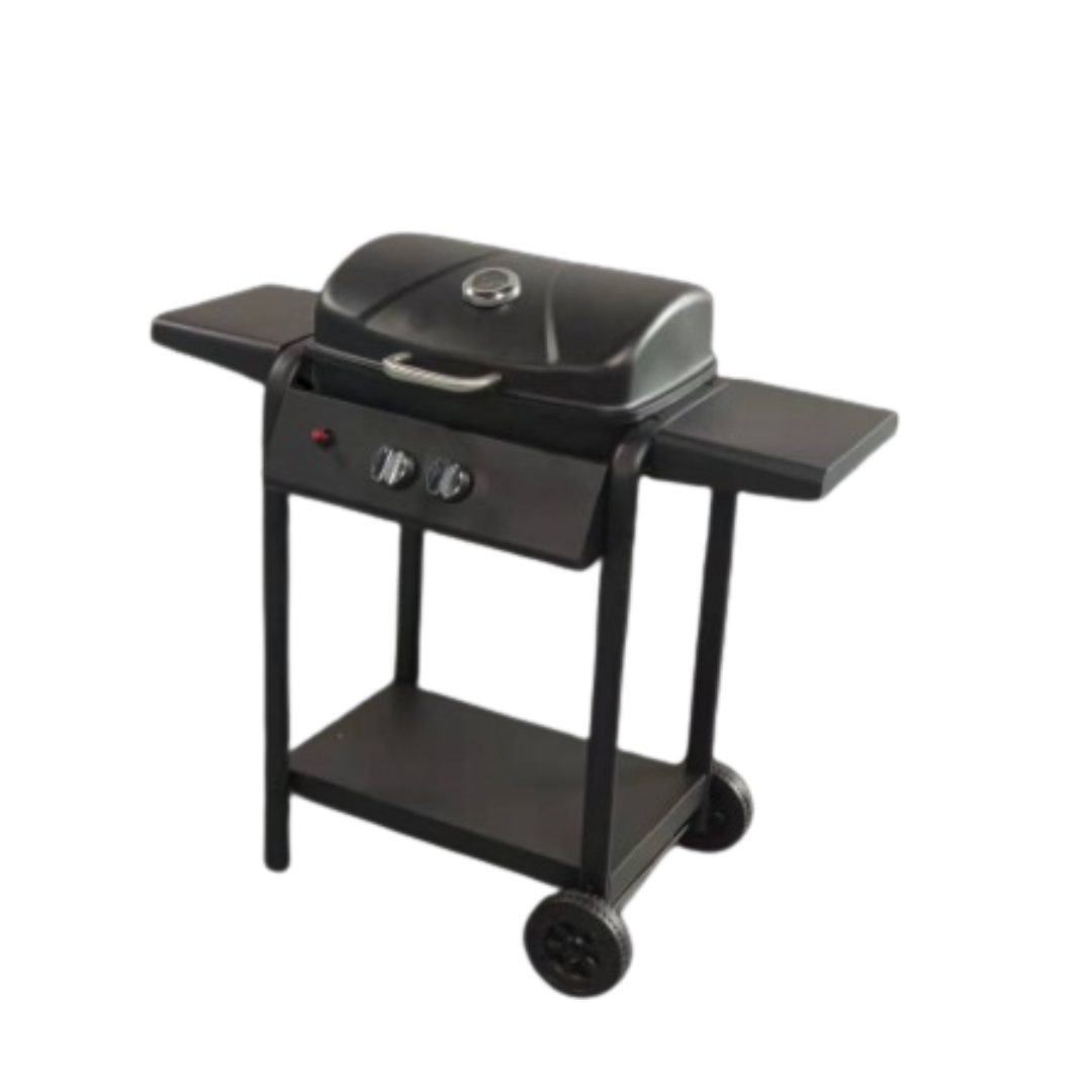 Gas BBQ- 2 Burner