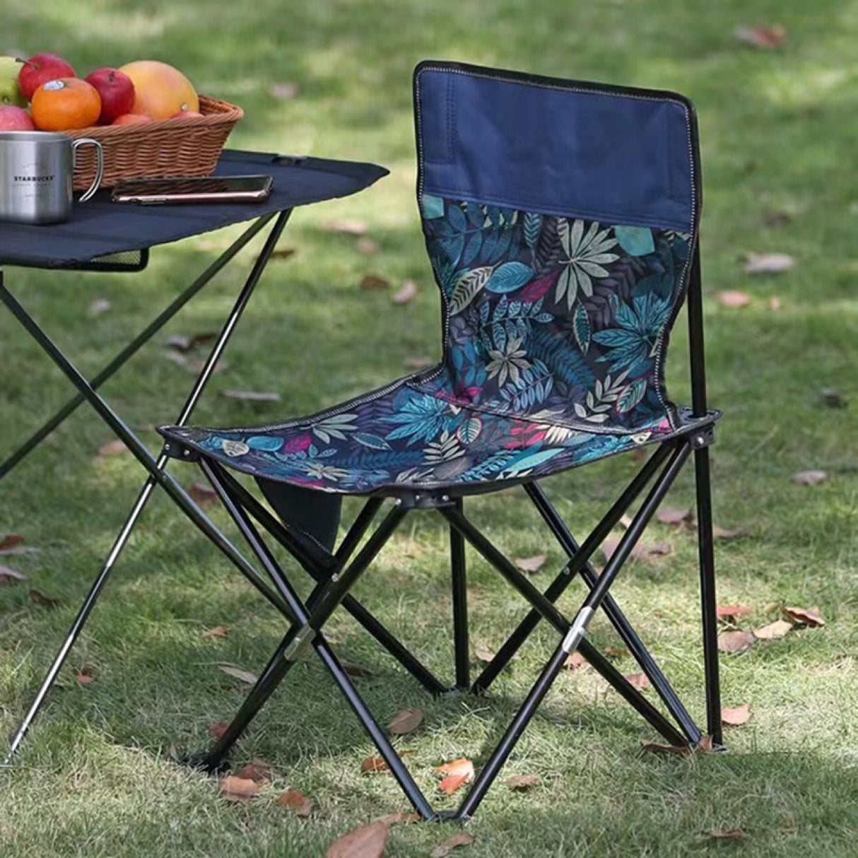 Camping Chair
