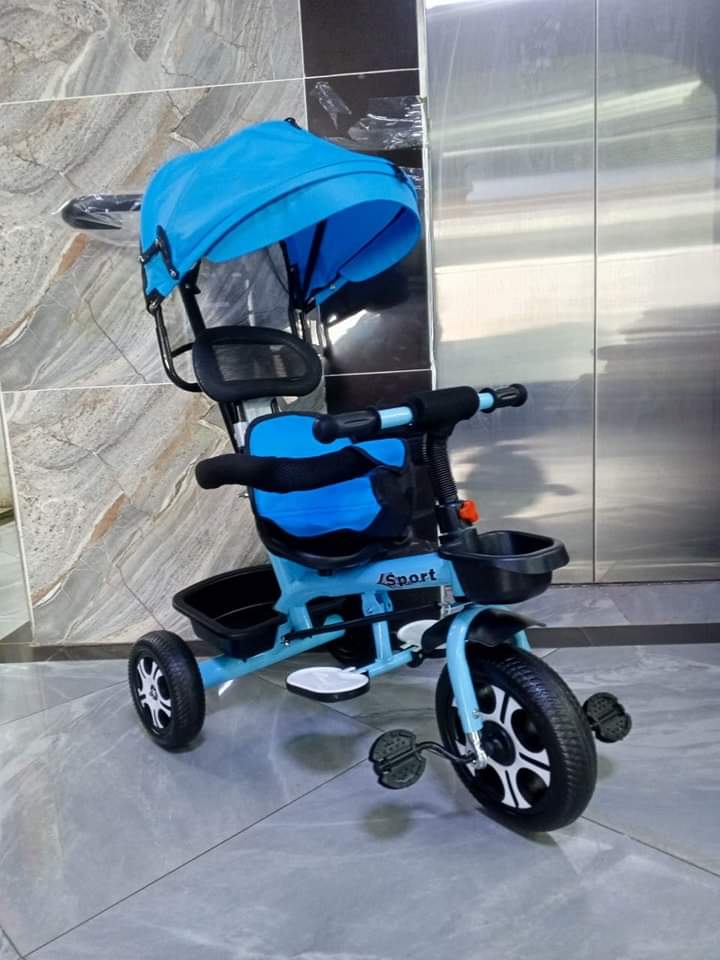 Push tricycle with canopy