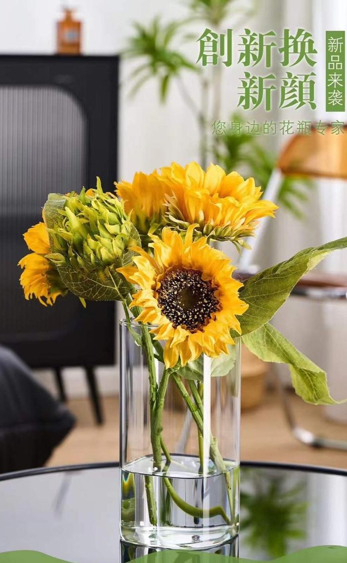 Modern creative clear glass vase (1 pc)