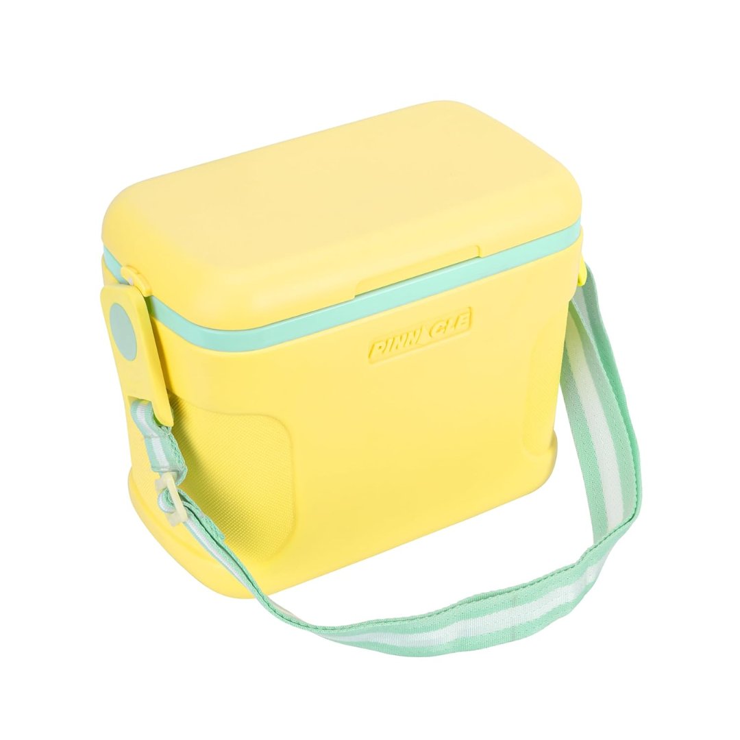 Pinnacle Passion Cooler Box 8L – Compact Portable Carry Cooler