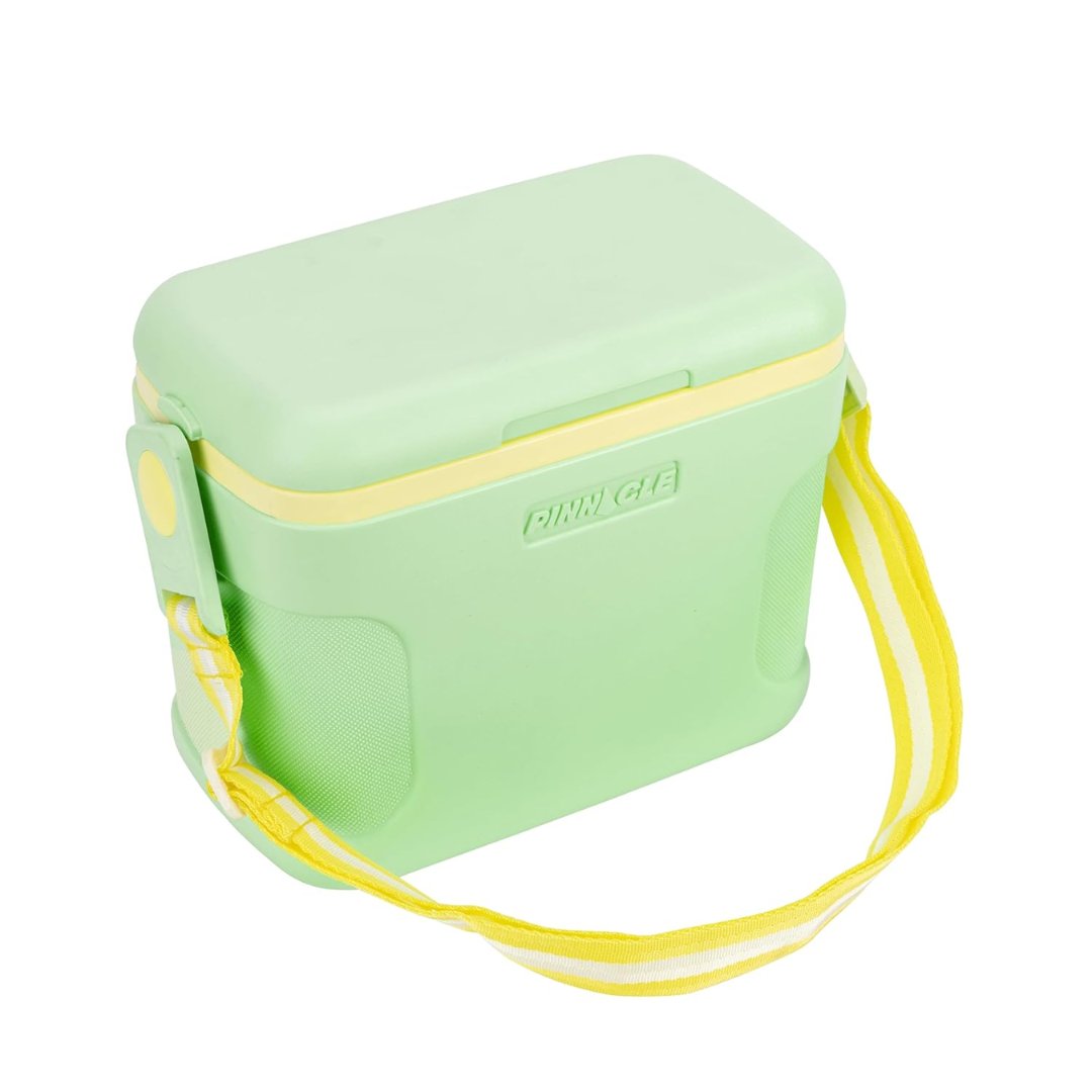 Pinnacle Passion Cooler Box 8L – Compact Portable Carry Cooler