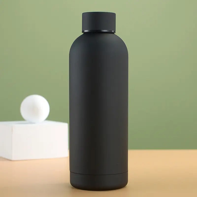 Stainless Steel Water Bottle,Modern Insulated Leakproof Vacuum Cup with Lid