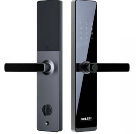 Bolesi G1F-N9 Smart Lock 5 Way Unlock Kenya | Fingerprint, Password, Card, Key, App, Anti-Pry Alarm, Semi-Automatic