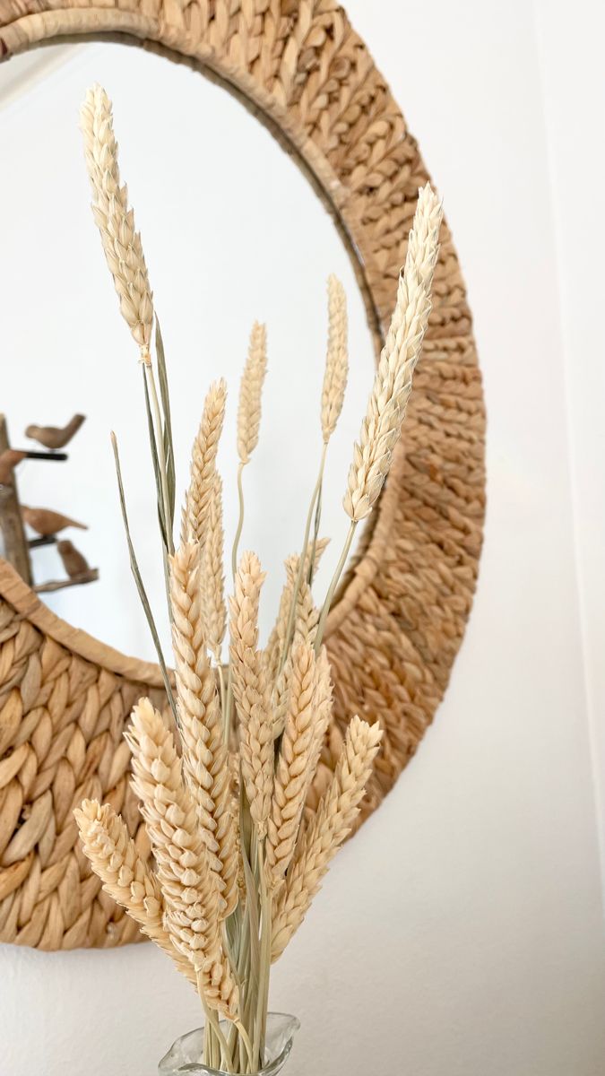 Decorative Water Hyacinth Handmade Braided Natural Boho Mirror