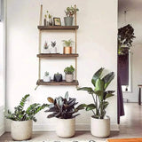 3Tier Rustic floating shelves/ organizer rack