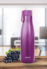 Milton Fame Thermosteel Bottle  Hot or Cold for 24 Hours | Vacuum Insulated Stainless Steel Water Bottle
