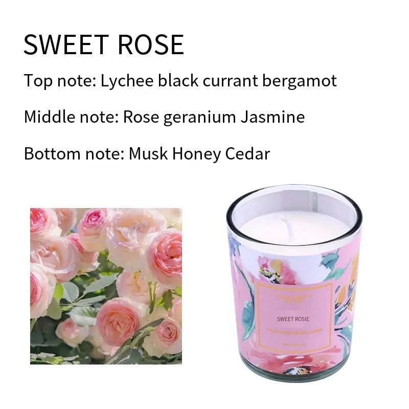 Botanical Scents Aromatherapy Scented Candles (set of 3)