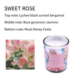 Botanical Scents Aromatherapy Scented Candles (set of 3)