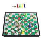 Snake and Ladder Magnetic Gameboard