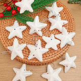 6pc set Christmas Star Hanging Pendants