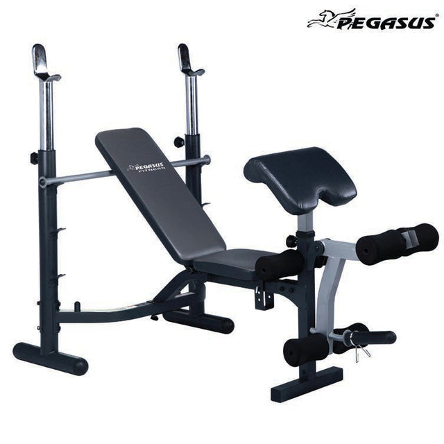 JX-764 commercial weights bench with barbell stands, bicep pad and leg extension attachment