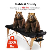Massage Table 2 Folding Portable Massage Table lash bed Massage wooden Bed