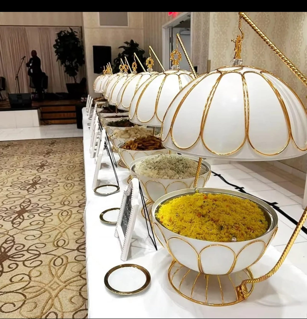 8 Litre Egg Shaped Chafing Dish with Transparent Lid and Built In Heating Stove for Buffet Food Warming