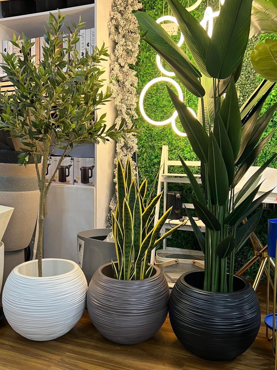 Premium  minimalist design flower planters