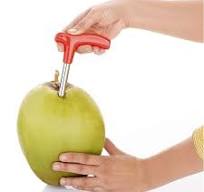 Ritu stainless steel coconut driller