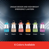 Sanford 8W Rechargeable LED Lantern with 3 Modes and 65-Hour Runtime | 40 SMD LEDs | 6V 5500mAh Battery