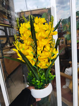 Table Top Big Potted Flowers