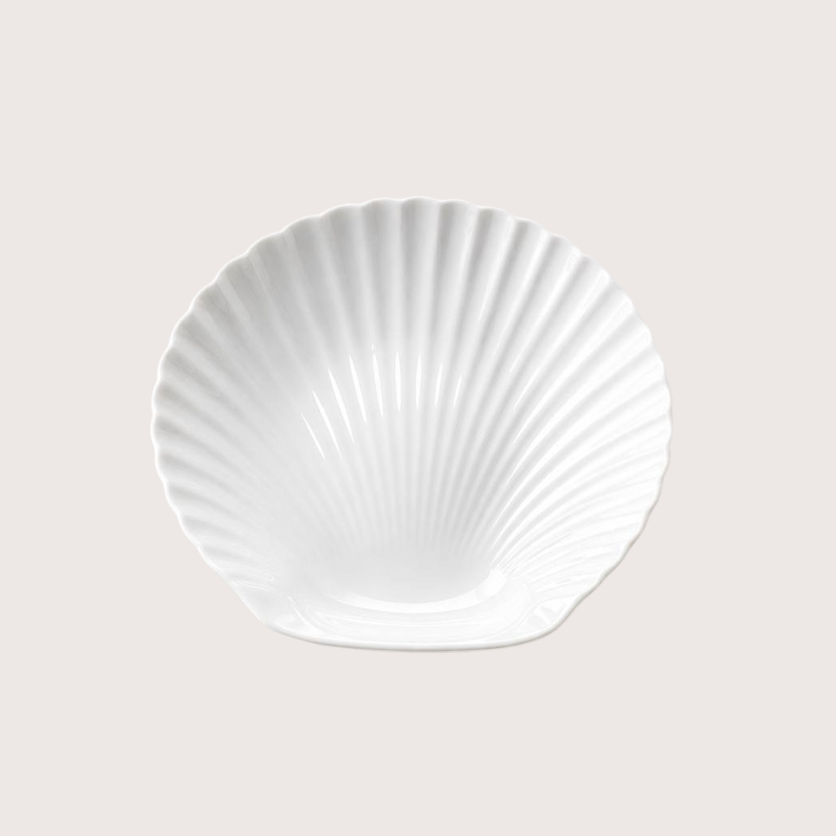 Signature White Shell Plates Kenya – Glassware Dinner & Side Plates