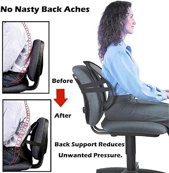 Seat back lumbar support BACK REST mesh