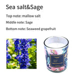 Botanical Scents Aromatherapy Scented Candles (set of 3 pieces)