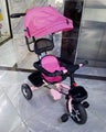 Push tricycle with canopy