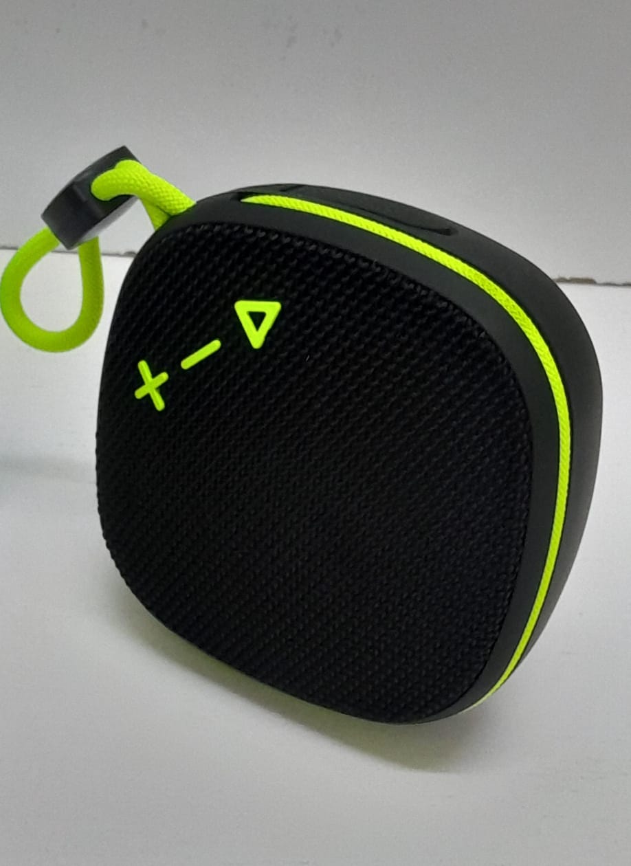Wireless portable speaker//Audio system