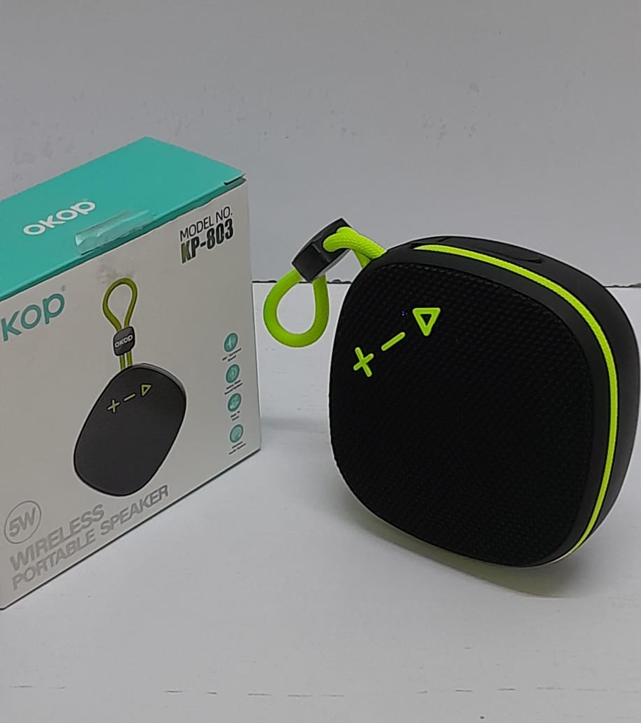 Wireless portable speaker//Audio system