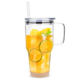 Danny Home 1L Borosilicate Glass Tumbler with Handle, Lid & Straw