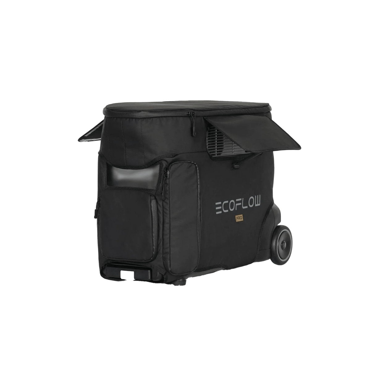 EcoFlow DELTA Pro heavy-duty protective carry bag Kenya