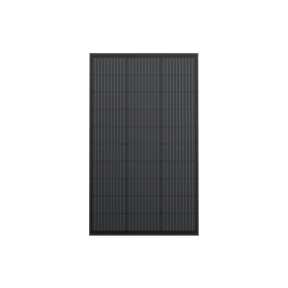 EcoFlow 125W Rigid Solar Panel 2-Pack