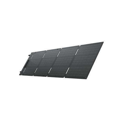 EcoFlow 60W Portable Solar Panel