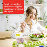 Sanford 900ml Food Chopper with Stainless Steel Blades and Egg Beater Attachment