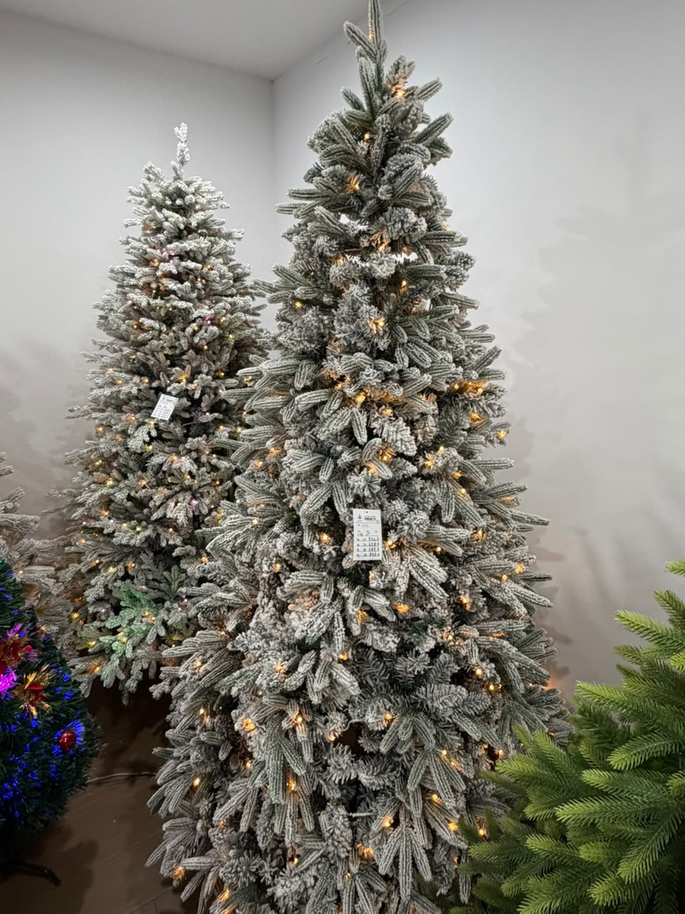 Pre-lit snow flocked artificial Christmas tree with warm white lights, 7ft and 8ft